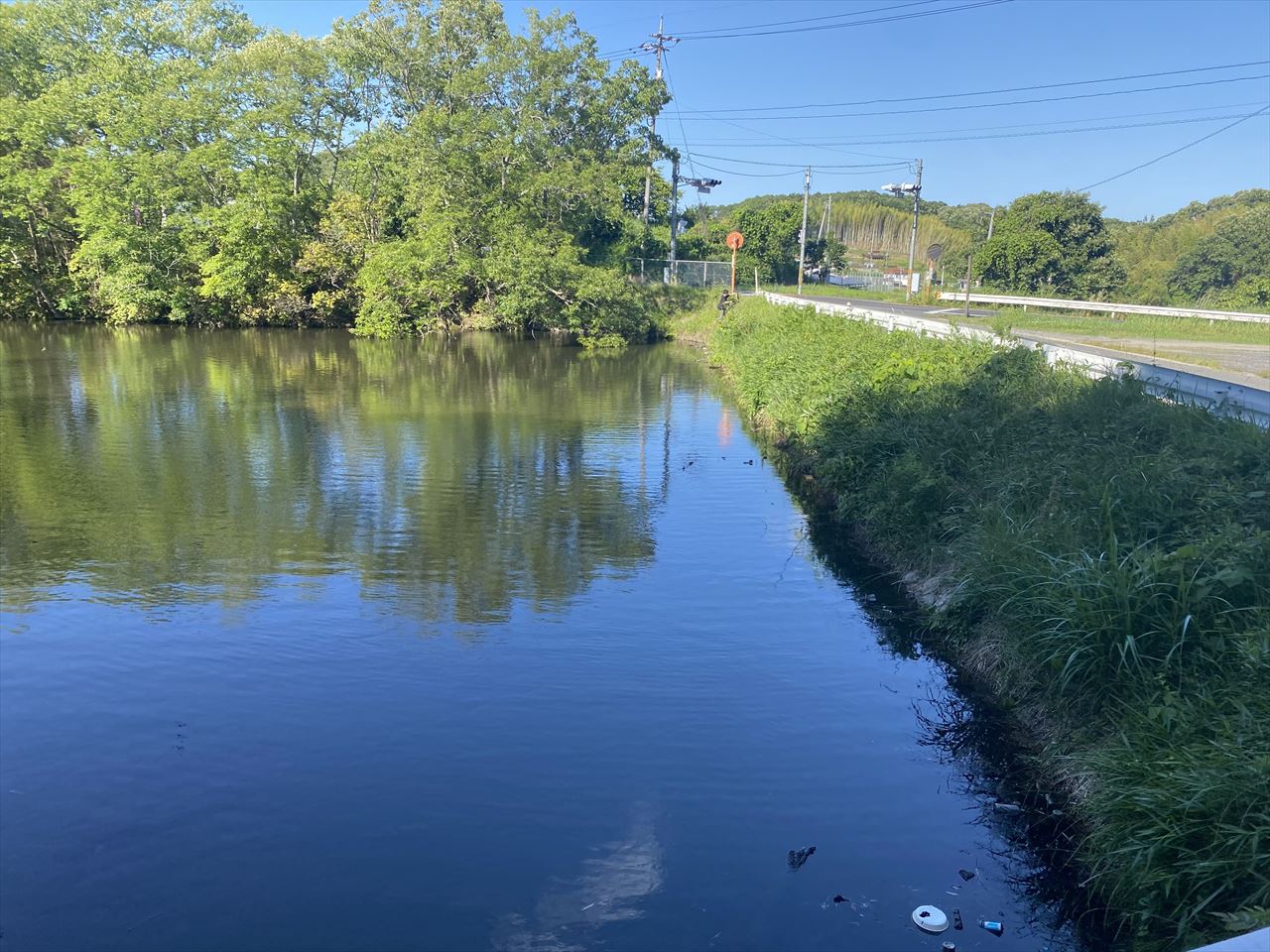 ◆西谷池（総社市下林）