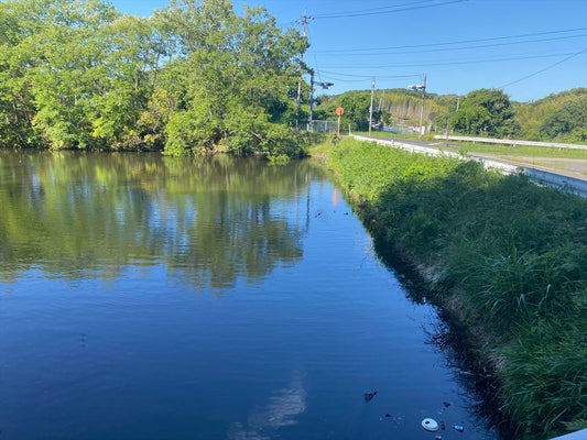 ◆西谷池（総社市下林）
