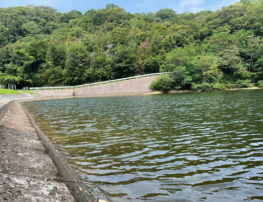 ◆東田井地下池