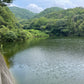 ◆東田井地上池