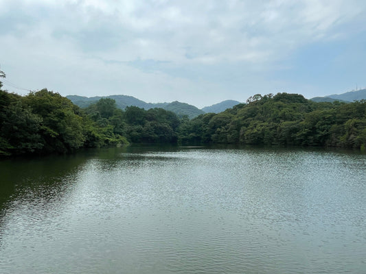 ◆普門寺南下池