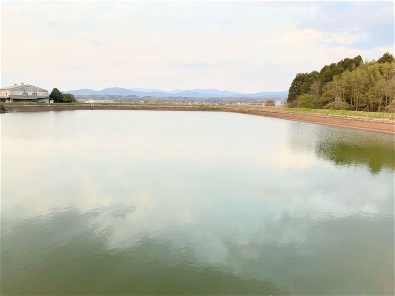 ◆野縄池