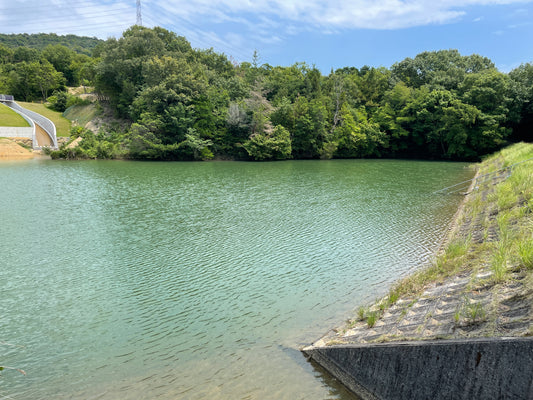 長船飯井5号池
