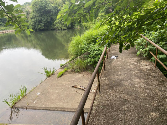 ◆天王池（浅原）