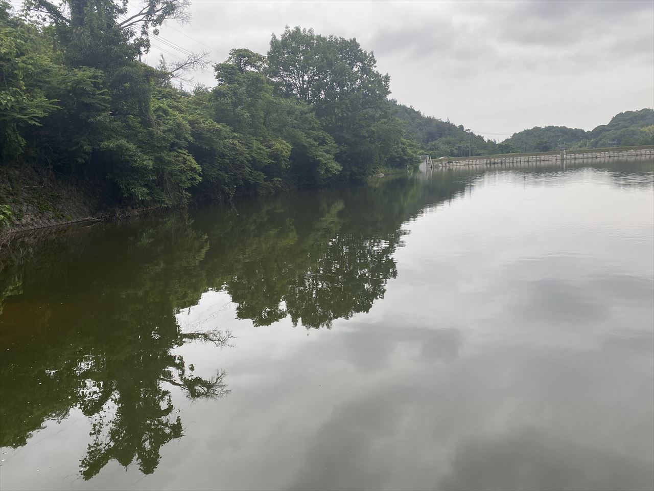 ◆中ノ池（西坂）