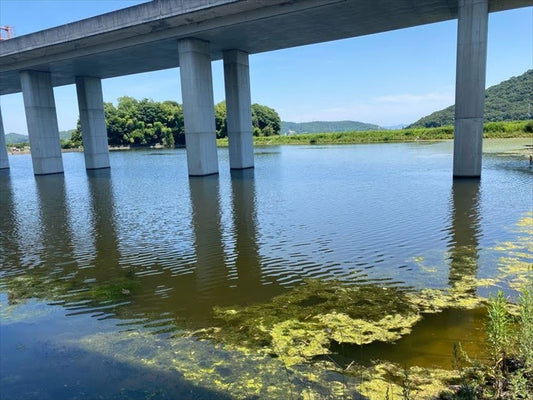 ◆大池（西辛川）