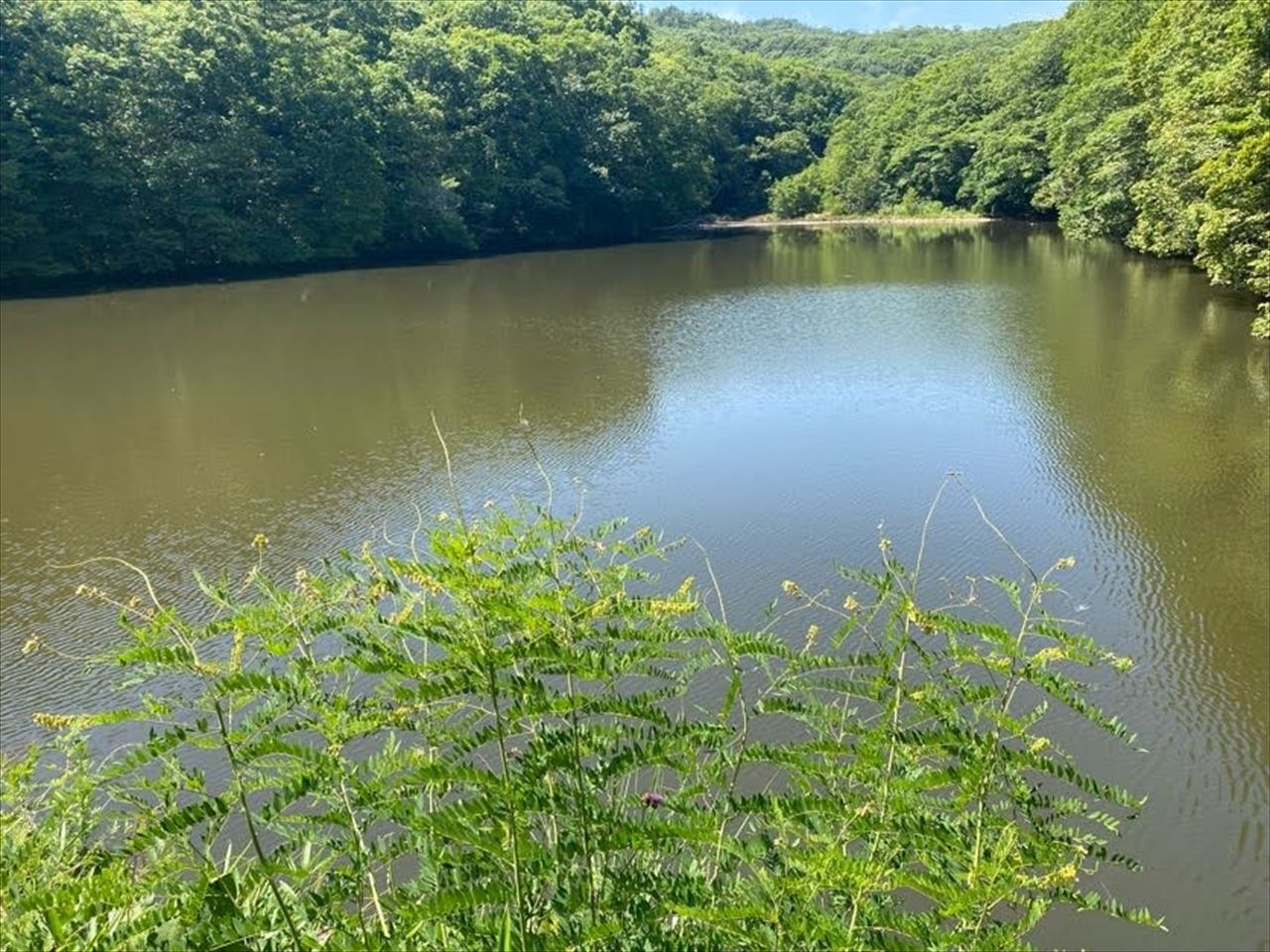 ◆中池（西辛川）