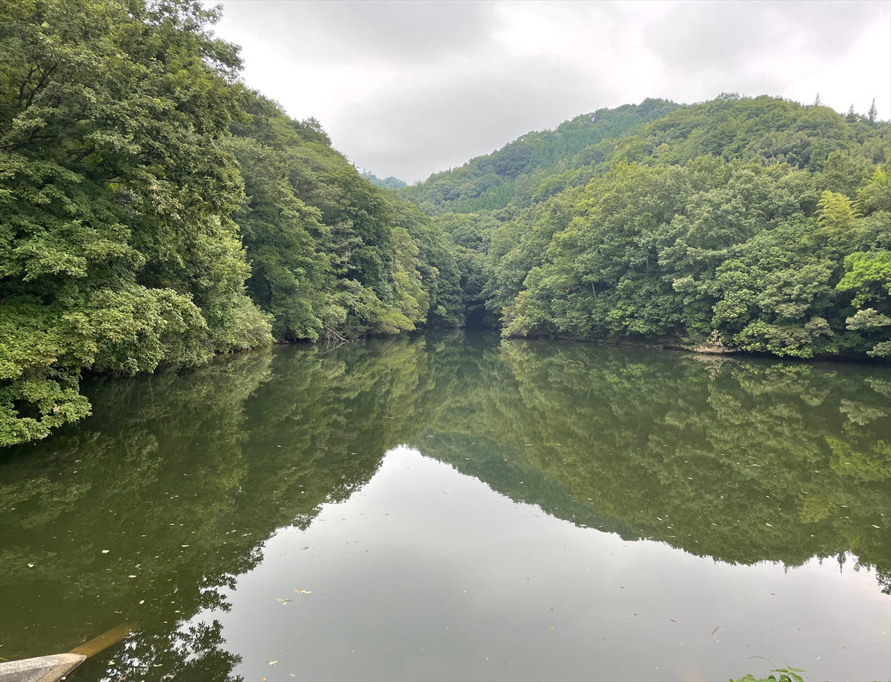 ◆大内上池