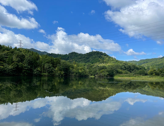 新大池（津江）