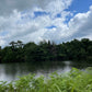 ◆北新池（黒瀬町丸山）