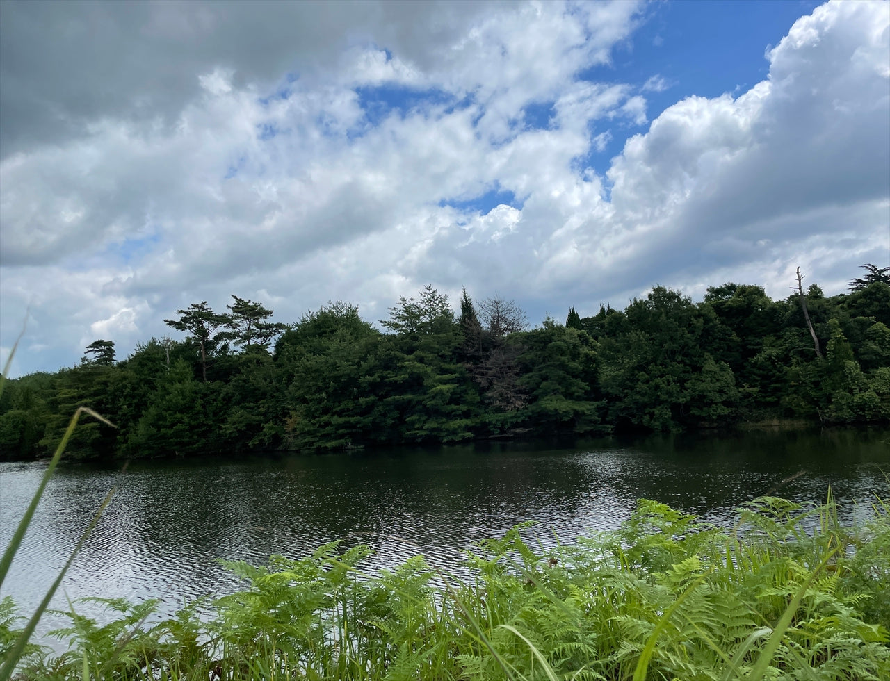 ◆北新池（黒瀬町丸山）