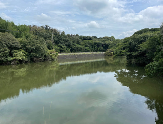 ◆久米濁池