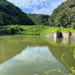 ◆土々坊池