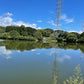 ◆新池（山ノ田）