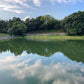 ◆平野新田中池