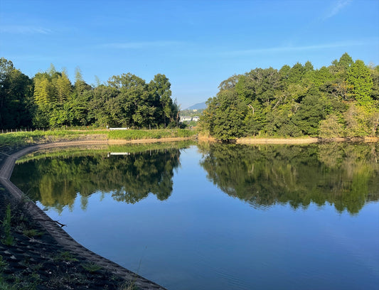 ◆佛土寺弁天池