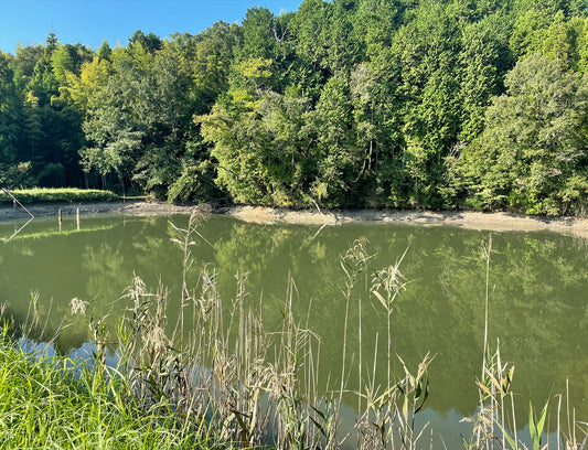 大谷東上池/下池