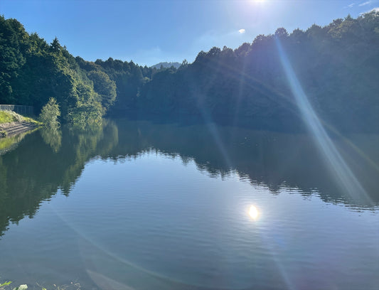 弁天池（水口町杣中）