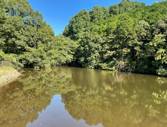 下之池（豊田町）