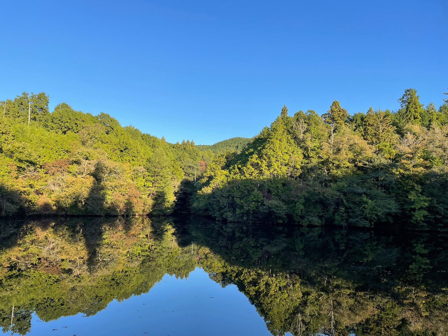 ◆伊賀高山東池