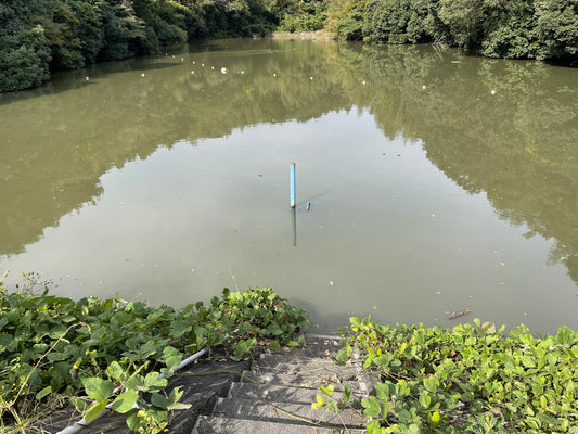 ◆上池(伊坂町)
