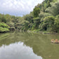 ◆新池(伊坂町)