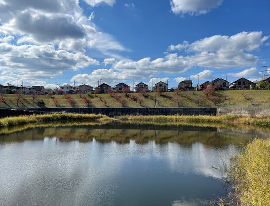 ◆平尾谷池((精華町)