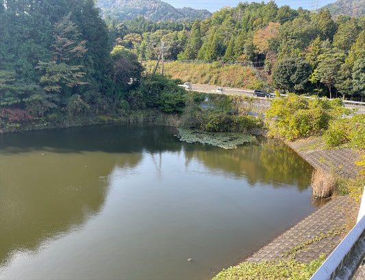 赤尾池