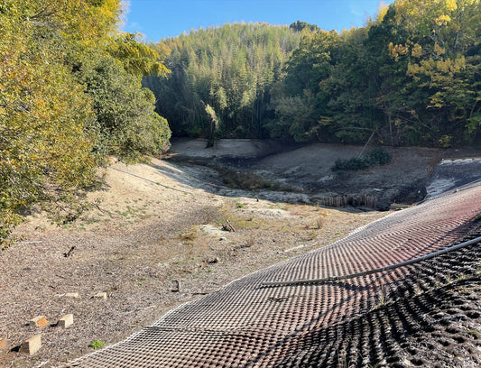 ◆沢の池(和爾町)