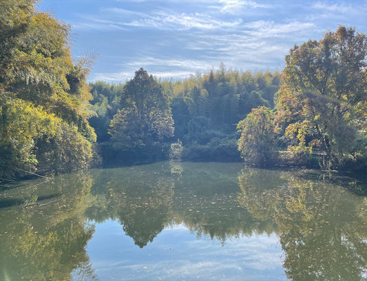 ◆新池(和爾町)