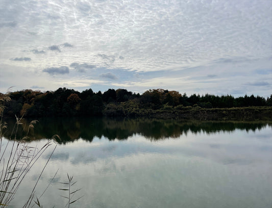 ◆新田池(下小波田)