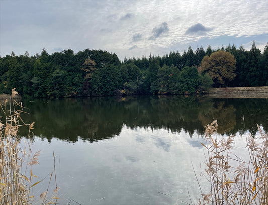 ◆新田下池(下小波田)