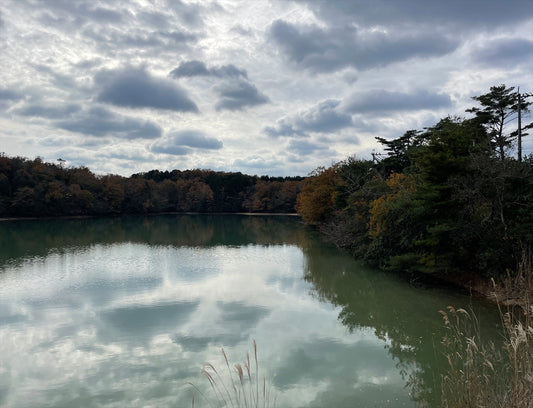 馬場池(下小波田)
