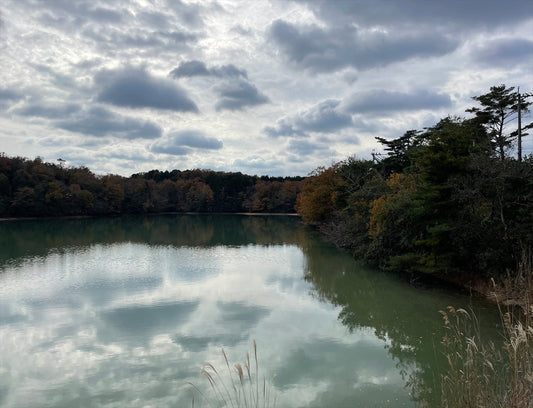 ◆馬場池(下小波田)