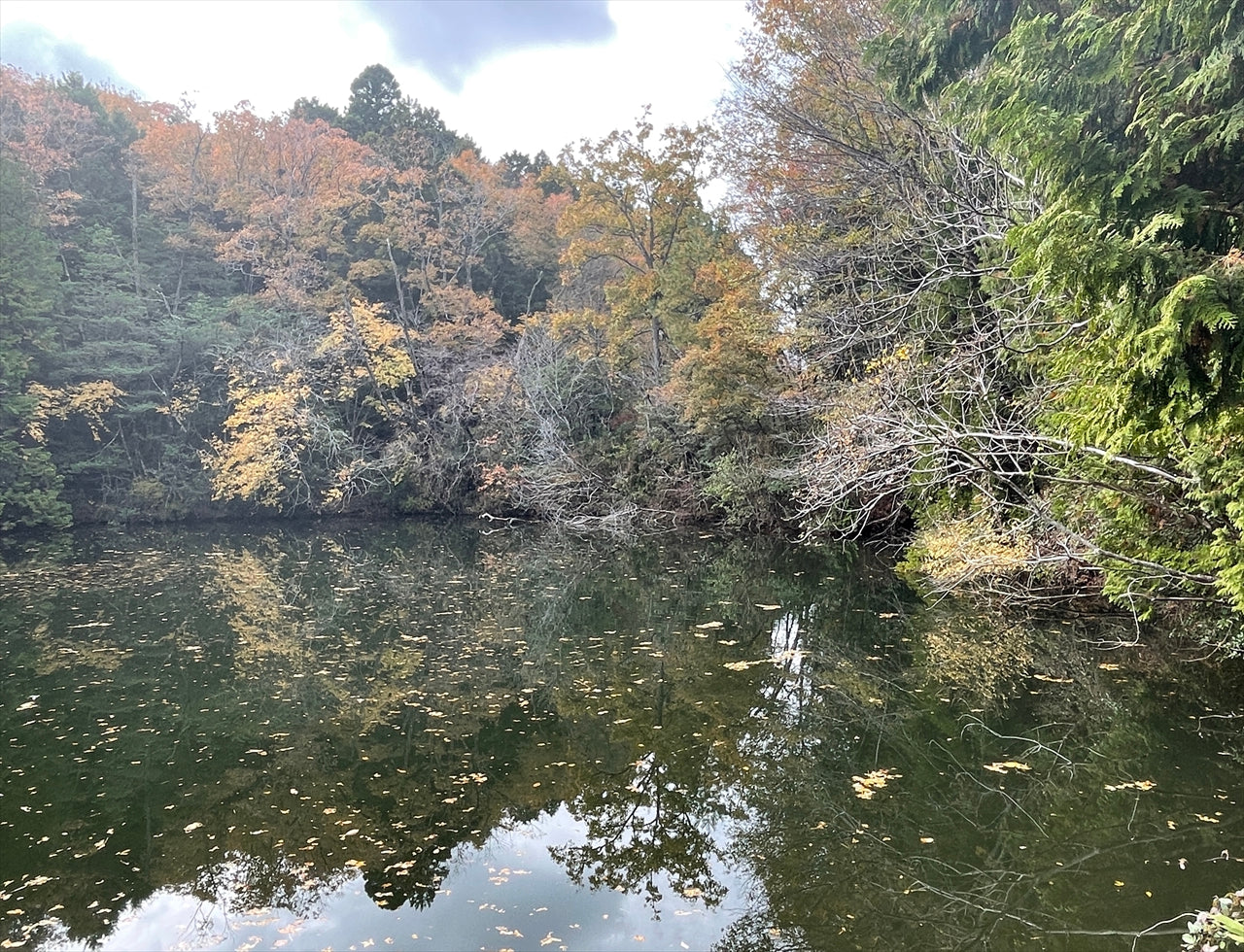 ◆坂池(上神戸)