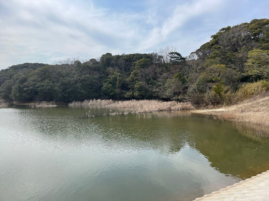 ◆皿池（上物部）