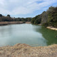 ◆上田原庚申池
