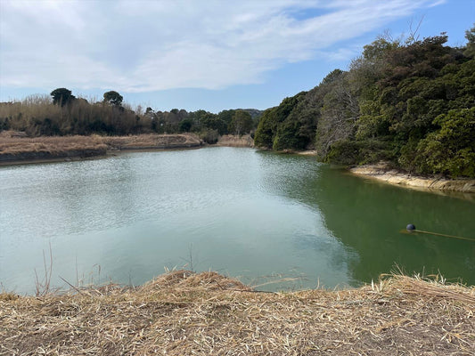 ◆上田原庚申池