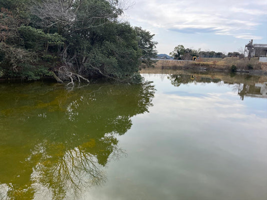 ◆新池（広田中筋）