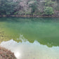 ◆西山池