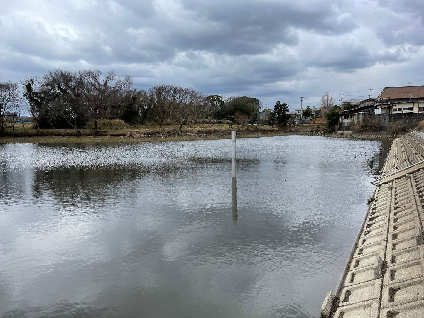 ◆岡本下池