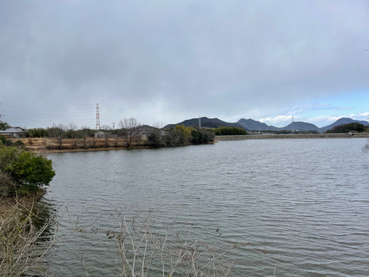 鵜生池
