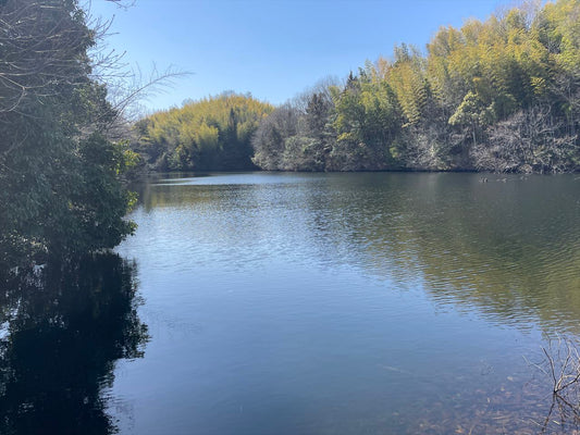 城東池（朝倉）