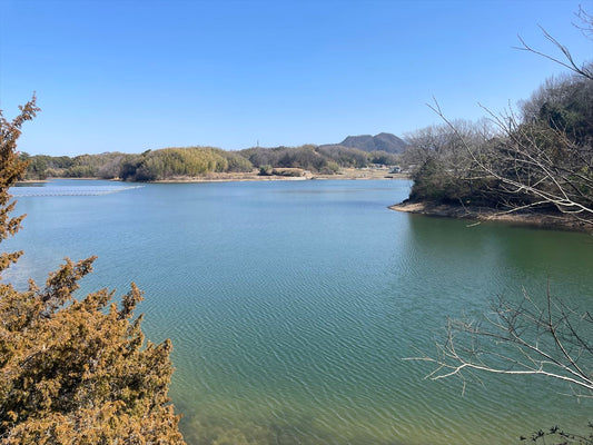 ◆四箇池(城池)