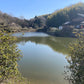 ◆中谷新池