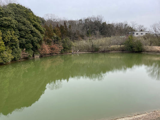 ◆東谷池/北原池