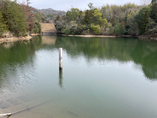 ◆新池（新田町）