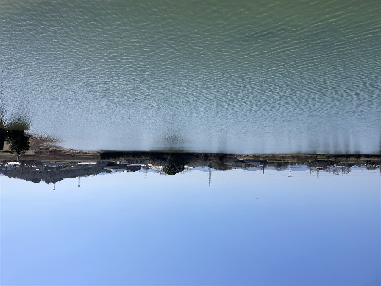 ◆森兼池