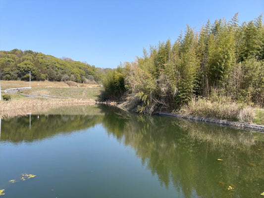 下池（前田西町）