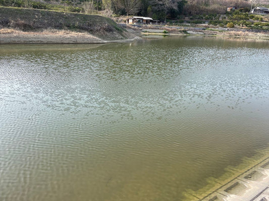 ◆山田池